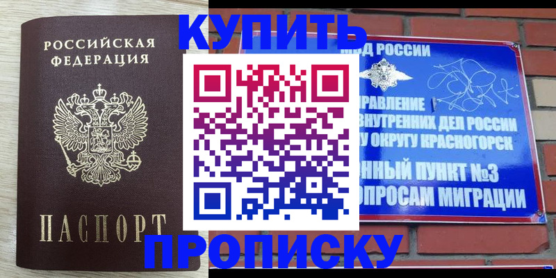 прописка гарантия в Курганинске